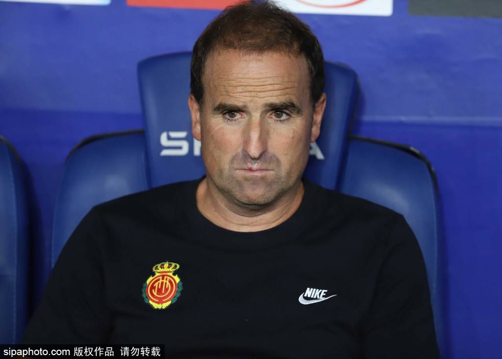 截然不同的, image 截然不同的, image